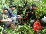 Peringati HPN, PWI Kudus Tanam 200 Bibit Pohon di Lereng Muria