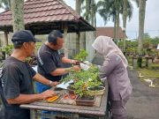 Januari-Februari 2025, Ekspor Bonsai dari Jawa Tengah Capai Rp2,1 M