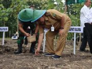 Dukung Ketahanan Pangan, Blora Manfaatkan Lahan Hutan untuk Tanam Padi Gogo