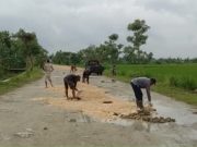 Dinas PUPR Blora Bersih-Bersih Jelang Peresmian Jalan Pramoedya Ananta Toer