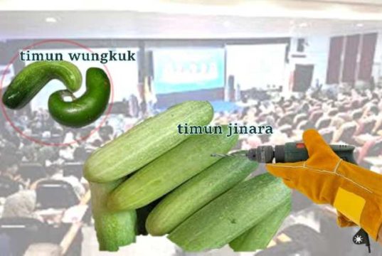 Timun Wungkuk Timun Jinara