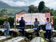 Tanam Bibit Talas di Peringatan HPN, Bupati Wonosobo Ajak Warga Jaga Ketahanan Pangan