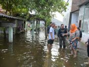 Wali Kota Tinjau Banjir Terboyo Wetan dan Trimulyo