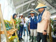 Pemprov Jateng Komitmen Sukseskan Program Swasembada Pangan