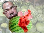 Bonyok, Bosok, Bubruk