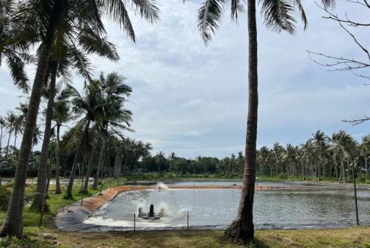 Tambak Udang di Karimunjawa, Menguji Nyali Penegakan Hukum dan Tata Ruang di Jepara