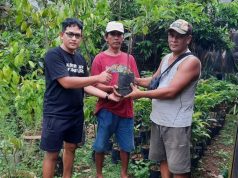 Warga Tendoksari Jepara Memulai Gerakan Tanam Pohon Buah di Pekarangan