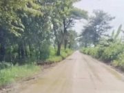 Tambang Galian C di Desa Tunggul Pandean Jepara Meresahkan Warga, Diduga Tanpa Izin