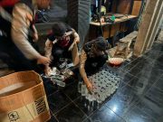 Ada Pekat Disekitar Anda ? Laporkan ke Call Center 110 Polri atau WhatsApp Siraju 08112894040