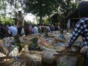 Kurangi Penggunaan Plastik, Nyadran Sepujud Pakai Keranjang Anyaman Bambu Nyadran Sepujud