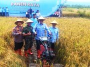 Panen Raya dengan Alsintan, Dukung Ketahanan Pangan Nasional