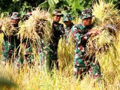 Panen Raya Mendukung Swasembada Pangan Nasional