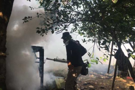 Satu Anak Meninggal Dunia karena Demam Berdarah, Warga Bangsri Minta di Fogging