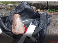 Mengapa Kepala Babi Ada di Kantor Redaksi?