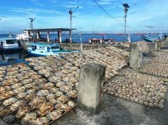 Holding Integrasi Maritim Menjawab Tantangan Sistem Logistik Perikanan