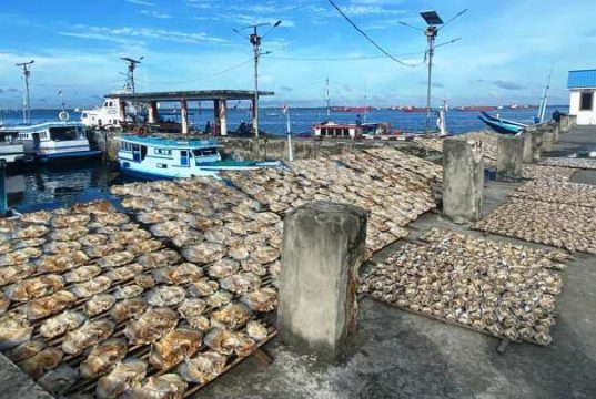 Holding Integrasi Maritim Menjawab Tantangan Sistem Logistik Perikanan