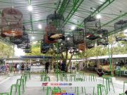 Kenzo, Orbit, dan Maestro Berjaya di Lomba Burung Tahunan BnR Semarang