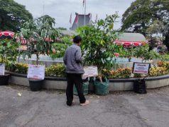 HUT Ke-299 Kabupaten Grobogan, Jangan Kirim Karangan Bunga Ganti dengan Tanaman Hidup