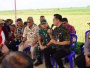 Bupati Jepara Dukung Program Penyerapan Gabah Petani: Jaga Harga Gabah Agar Tak Anjlog