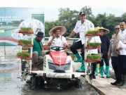 Jelang Kemarau, Ahmad Luthfi Genjot Penanaman Padi di Lahan Seluas 250 Ribu Hektar