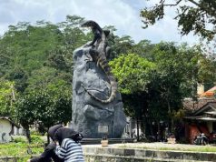 Viral Patung Biawak di Wonosobo, Begini Proses Pembuatannya
