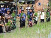 Bupati Sam’ani Tanam Padi di Jekulo, Komitmen Wujudkan Kudus Mandiri Pangan