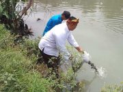 PT Djarum Bareng Warga Tebar 5.000 Bibit Ikan untuk Lestarikan Sungai Kaligelis