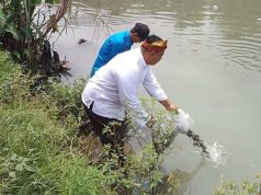 PT Djarum Bareng Warga Tebar 5.000 Bibit Ikan untuk Lestarikan Sungai Kaligelis