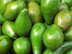 Buah yang Aman Dikonsumsi Penderita Asam Lambung