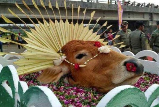 Pesta Lomban akan Dirangkai dengan Hari Jadi Jepara Ke- 476, Ini Agenda Kegiatan yang Harus Kamu Ketahui