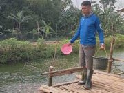 Woro Woro! Raja Pikat Grobogan Tebar 400 Kg Ikan Tombro, Event Mancing Bergengsi Digelar Mei 2026