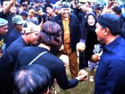 Adu Buah Kelapa, Atraksi Puncak di Event Gelar Budaya