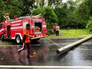 Tiang Listrik dan Pohon Tumbang Melintang Jalan, Wonogiri-Pacitan Macet