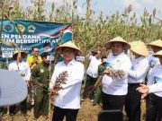 Mendes PDT Panen Sorgum, Blora Jadi Pusat Pembenihan Nasional