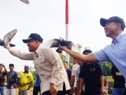 Lomba Merpati Kolong di Batang Diikuti Ribuan Peserta