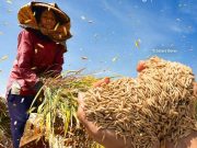 Pasca Panen Raya, Inflasi Jawa Tengah Masih Terjaga