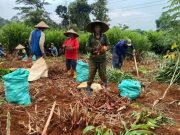 Pantang Menyerah! Petani Kudus Raup Ratusan Juta dari Empon-empon di Tengah Krisis