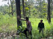 Antisipasi Pencurian Kayu, Patroli Gabungan KPH Gundih Rutin Gelar Patroli di Titik Rawan