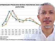 Kemarau Basah dan Potensi Produksi Beras