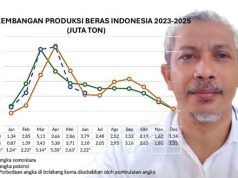 Kemarau Basah dan Potensi Produksi Beras