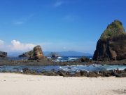 Jelajahi Pesona Wisata Jember yang Kaya Alam dan Budaya