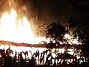Api Kebakaran Kandang Sapi Meluas ke Rumah Utama