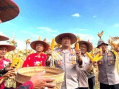 Lakukan Pendampingan Panen, Dukung Program Ketahanan Pangan