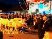 Kurup Asopon, Tanggal 1 Sura Tahun Dal 1959 Jatuh Jumat Kliwon