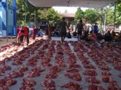 Desa Pengkok Kurban 169 Sapi dan 105 Kambing, Terbanyak di Sragen
