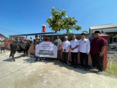 USM Kurban Seekor Sapi untuk Warga Desa Surodadi Demak