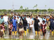 Bareng Gubernur Jateng, Bupati Brebes Mageri Segoro 1,5 Juta Mangrove