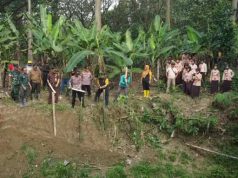 Perhutani dan Pemkab Grobogan Tanam Pohon dan Bersihkan Sungai Ngledokan di Hari Lingkungan Hidup 2025