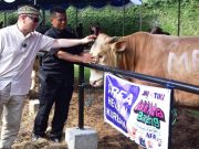 Rayakan Idul Adha 1446 H, JNE Berbagi Semangat SatSetBerkurban