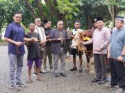 Unissula Potong 28 Hewan Kurban